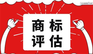 商標(biāo)評(píng)估機(jī)構(gòu)