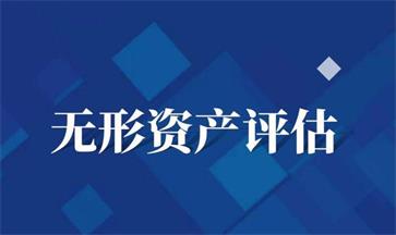 無形資產(chǎn)評(píng)估
